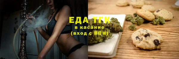 индика Приозерск