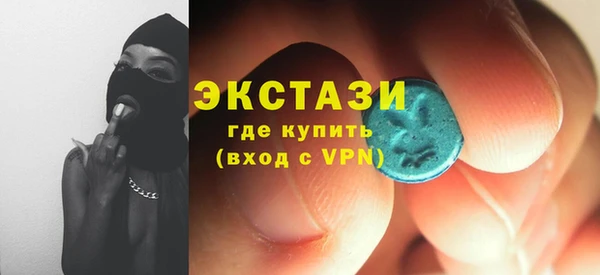 индика Приозерск