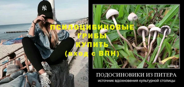 мет Абаза