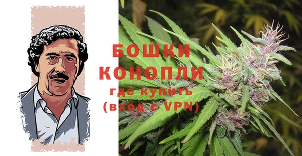 мет Абаза
