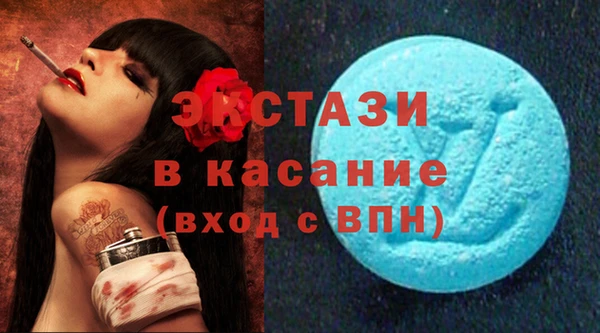 индика Приозерск