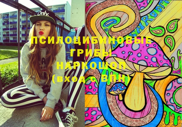 индика Приозерск