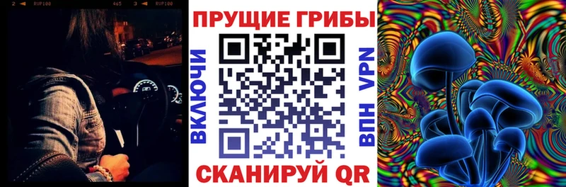 Галлюциногенные грибы Psilocybine cubensis  Бирюсинск 
